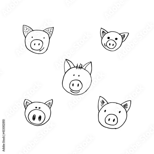 Hand drawing of cute pigs, vector illustrations, cartoon doodle style.