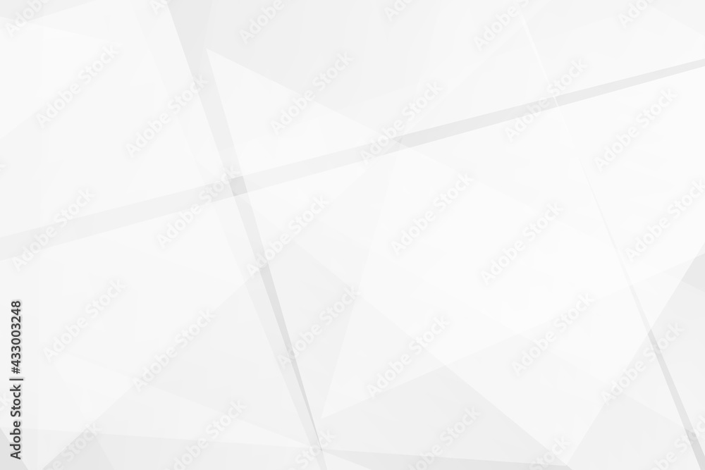 Fototapeta premium Abstract white and grey on light silver background modern design. Vector illustration EPS 10.