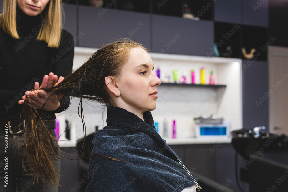 Fototapeta premium Master woman hairdresser carefully applies a special conditioner for hair after washing the girl's head in a beauty salon.