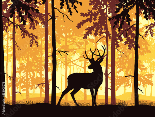 Deer with antlers posing, forest background, silhouettes of trees. Magical misty landscape. Brown, orange and yellow illustration. 