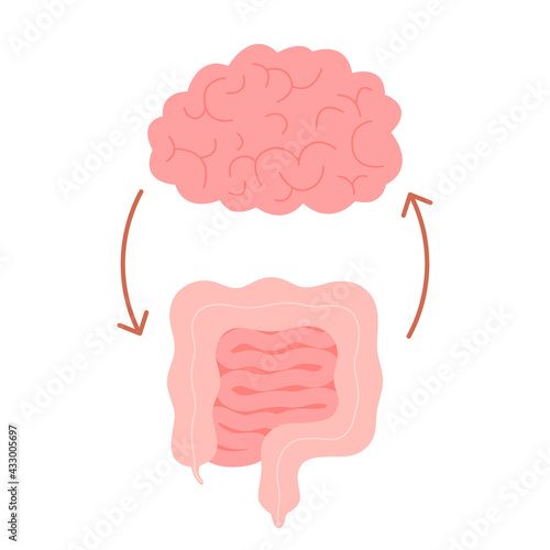 Connection of cute healthy happy brain and intestine gut. Relation health of human brain and gut, second brain. Unity of mental and digestive. Vector flat cartoon illustration