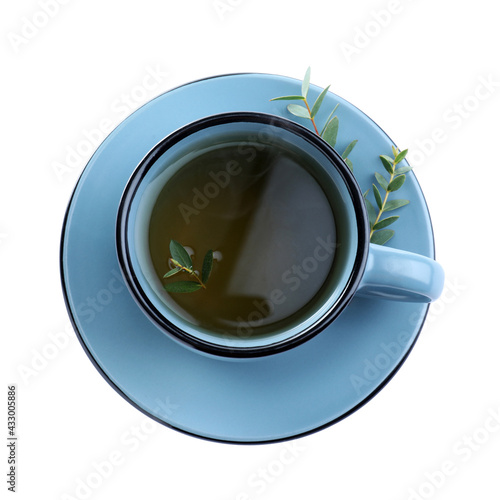 Cup of green tea with eucalyptus leaves on white background, top view