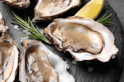 Delicious fresh oysters with lemon served on grey table, closeup