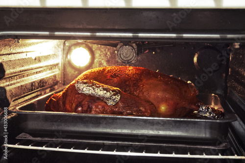oven with lighting, open for inspection the degree of readiness of the Christmas goose in baking tray, fried to ruddy crust, stuffed with apples. with clipping path