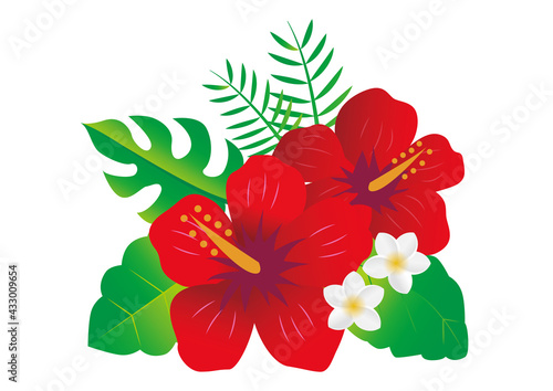 南国 熱帯　植物　花