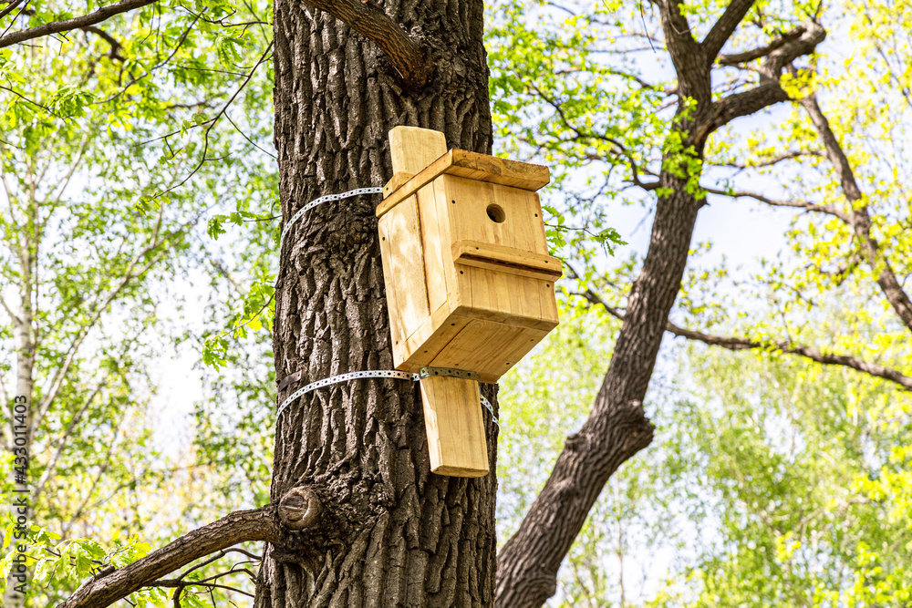 Wooden bird house hanging from a tree Wooden bird house hanging from a tree
