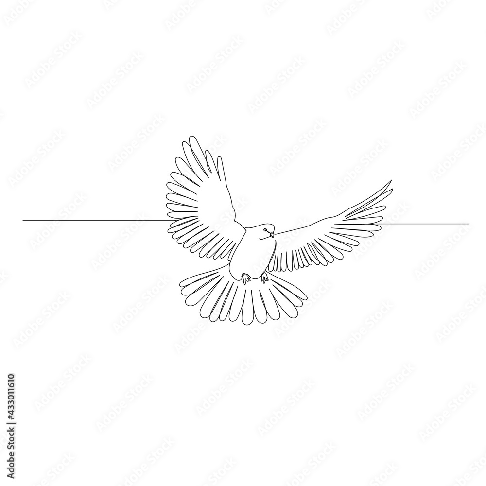 Fototapeta premium continuous line drawing of flying bird