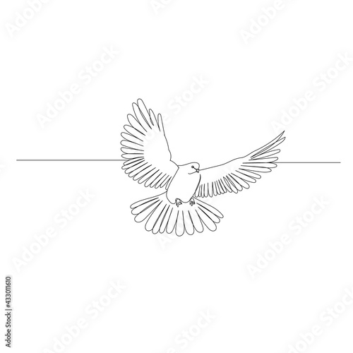  continuous line drawing of flying bird © zolotons
