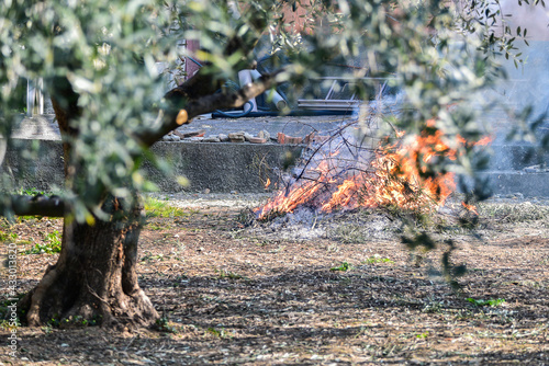 Bruciare le sterpaglie