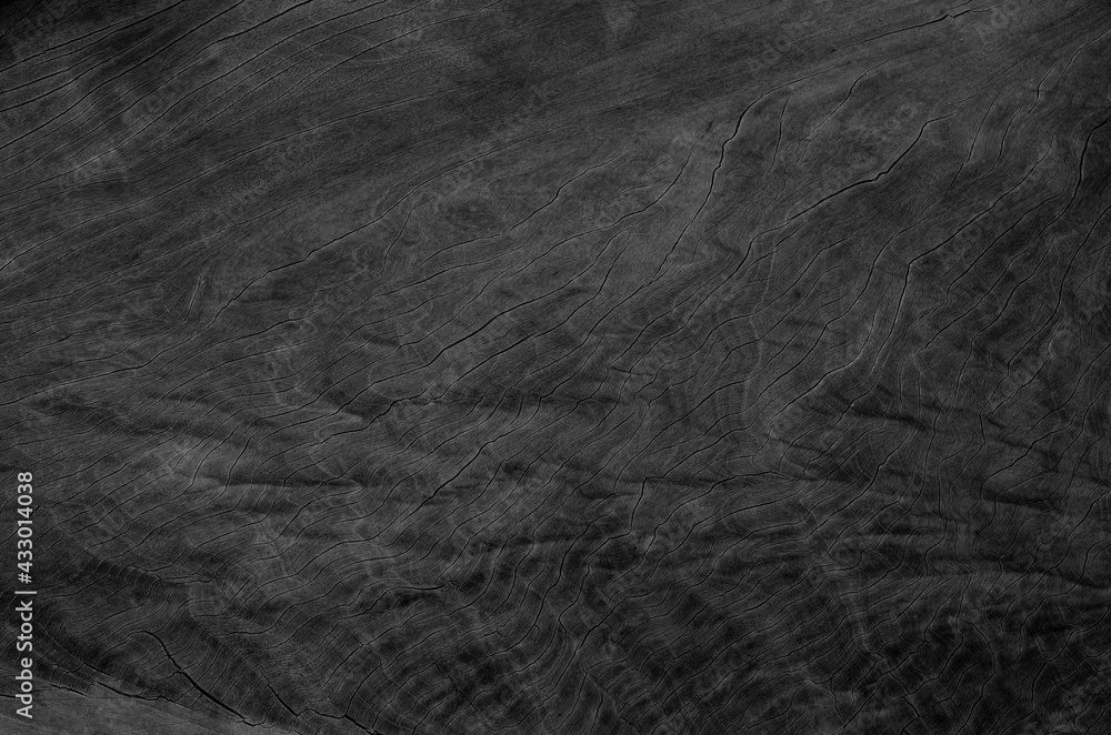 Fototapeta premium Dark grey wood texture. Abstract wood use as natural background.