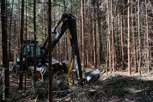 Harvester in Fichtenwald