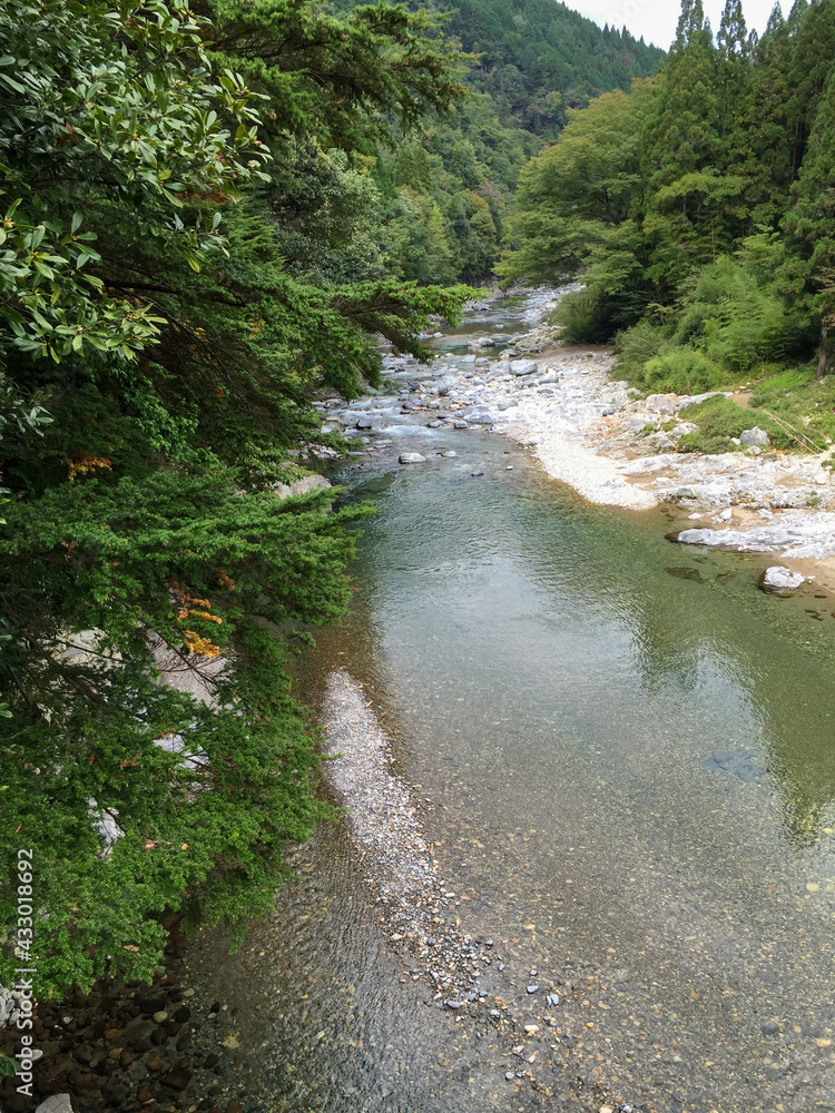清流 清流