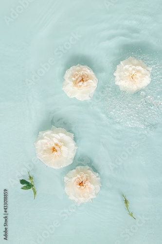 Delicate summer flat background of white flowers of roses illuminated by flowers in full bloom floating in turquoise water. Spa and wellness still life. Minimal invitation and floral love card. © jbuinac