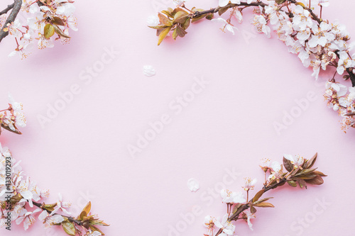 Spring background may flowers and April floral nature on pink background. Branches of blossoming apricot macro with soft focus. For easter and spring greeting cards with copy space. Springtime.