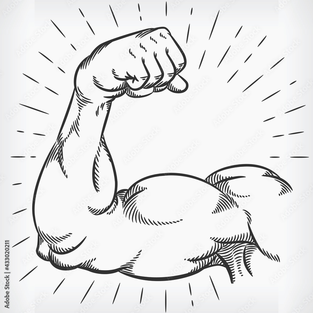 sketch arm strong muscle gym design Stock Vector Image  Art  Alamy
