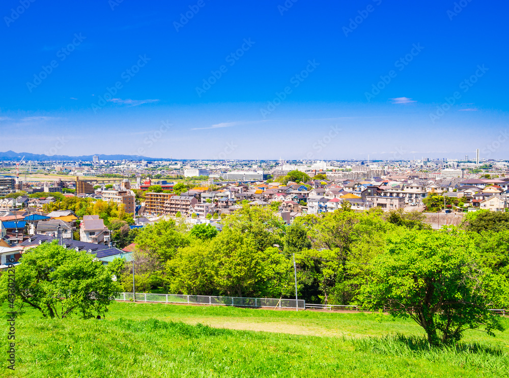 青空が広がる郊外の住宅地