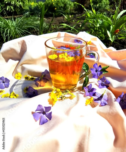 Morning at the parents' garden