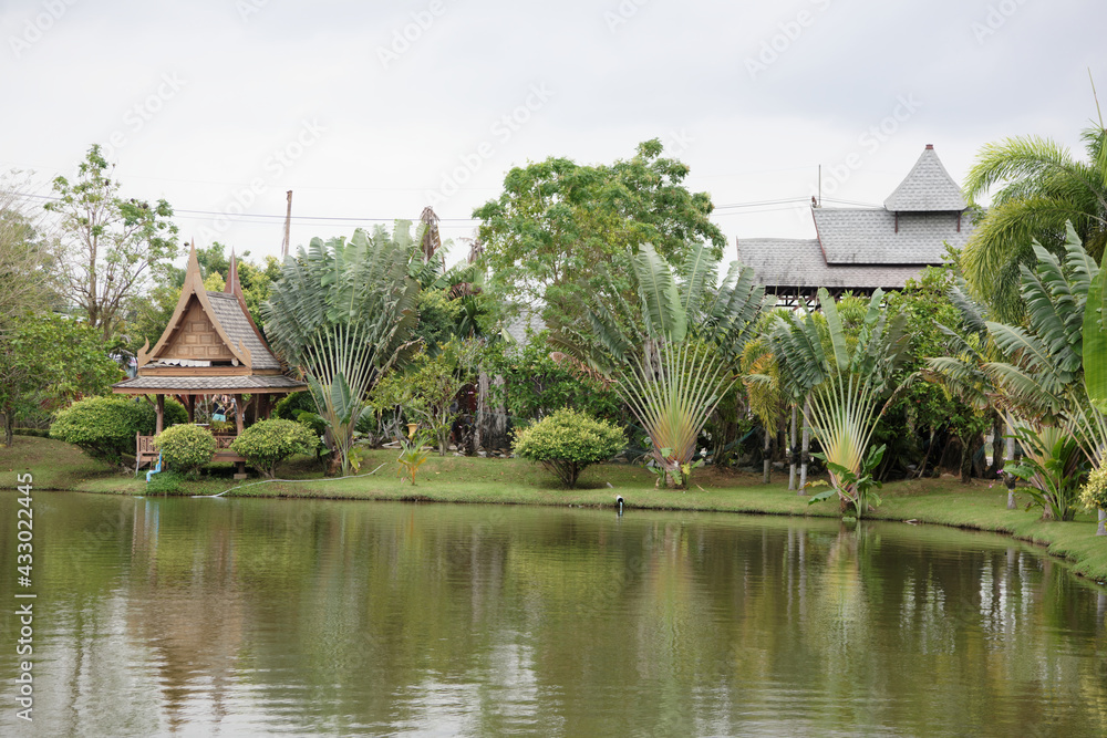 Fototapeta premium Lake in the park. Tourists drink tea and look at fish in the water