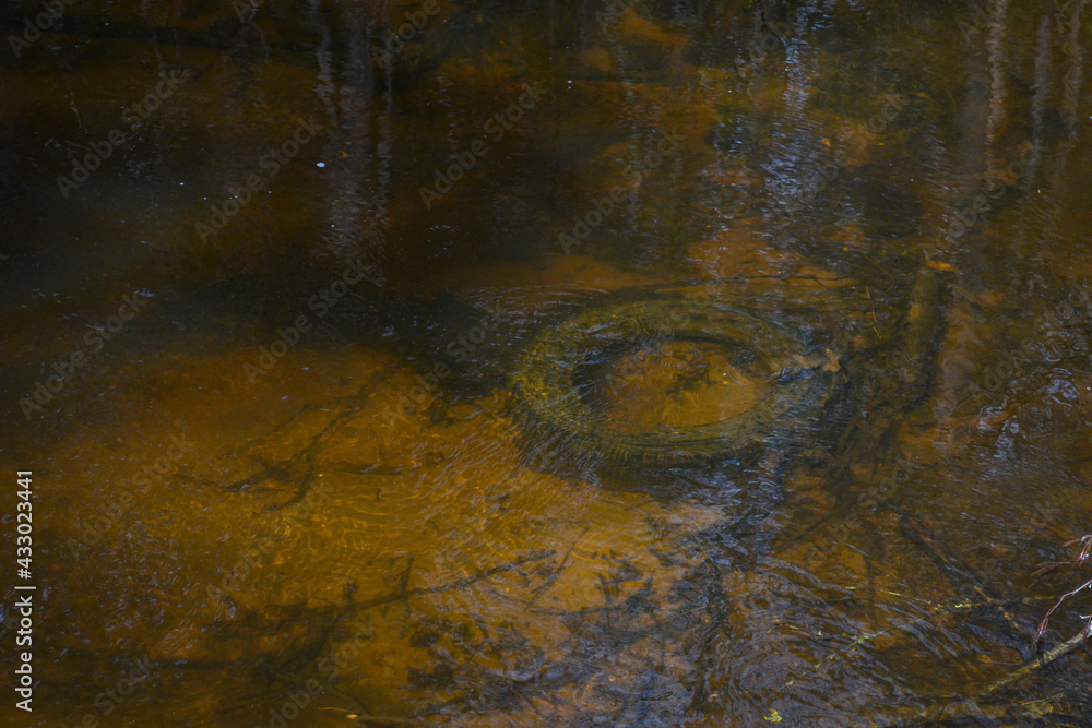 car tire in a forest river. Polluted climate. Close-up car tire in a forest river. Polluted climate. Close-up