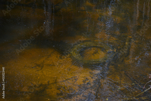 car tire in a forest river. Polluted climate. Close-up