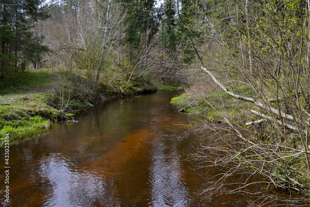 slow forest river in summer green woods with rocks in stream and small waterfalls. Spring landscape slow forest river in summer green woods with rocks in stream and small waterfalls. Spring landscape