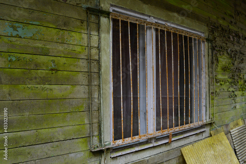 White, rusting window protection grilles on an old green tree house.