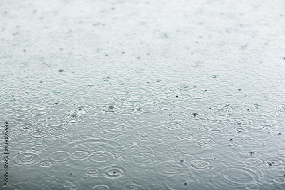 Obraz premium raindrops on the water close-up