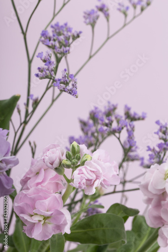 The beautiful stock flower with sealavender on purple background. © bong