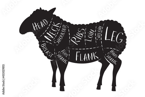 Butcher's guide - lamb - vector illustration