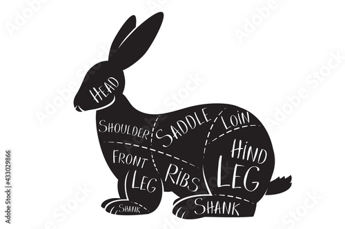 Butcher's guide - rabbit - vector illustration