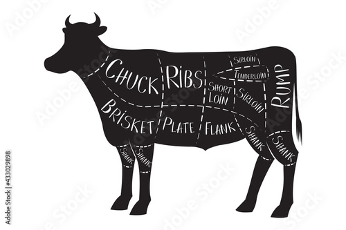 Butcher's guide - beef - vector illustration