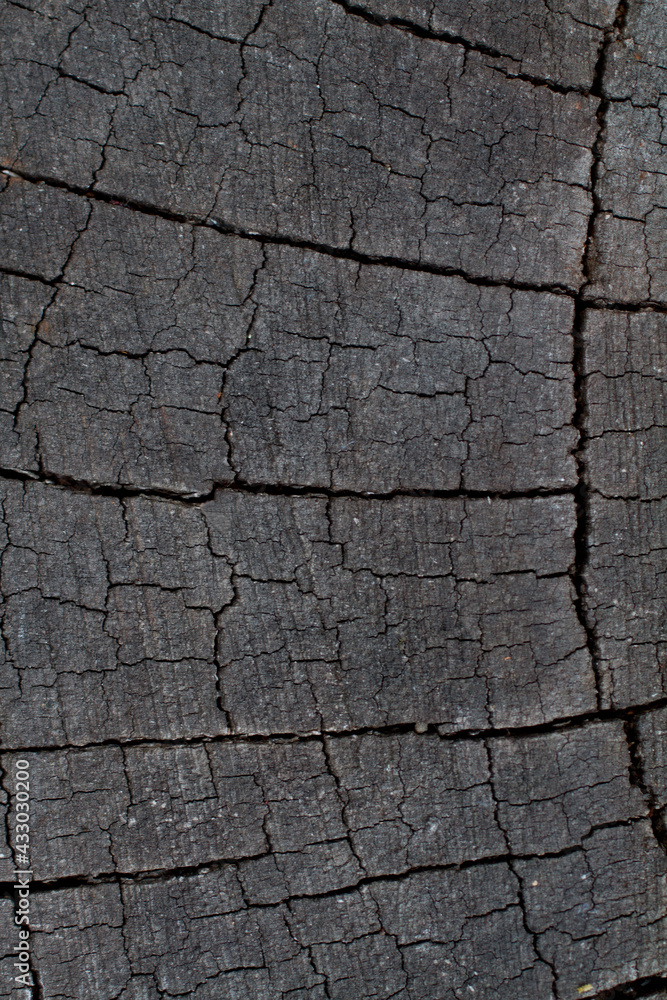 Dry wooden log with cracks abstract neutral background photo Dry wooden log with cracks abstract neutral background photo
