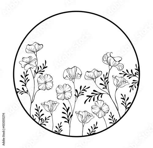 Frame with contour california poppy