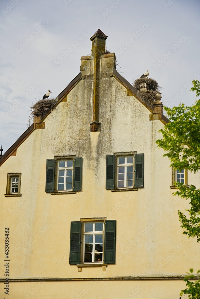 Weißstörche nisten auf dem Kirschbacherhof bei Zweibrücken