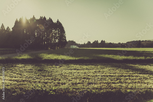 日本の田舎の畑がある風景 photo