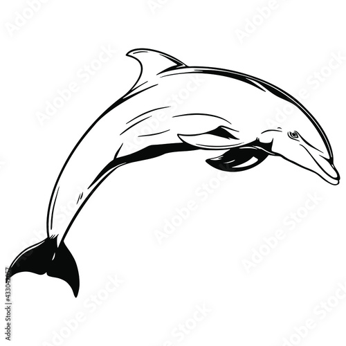 Dolphin. Dolphin jumping out of the water. Used for cutting and printing