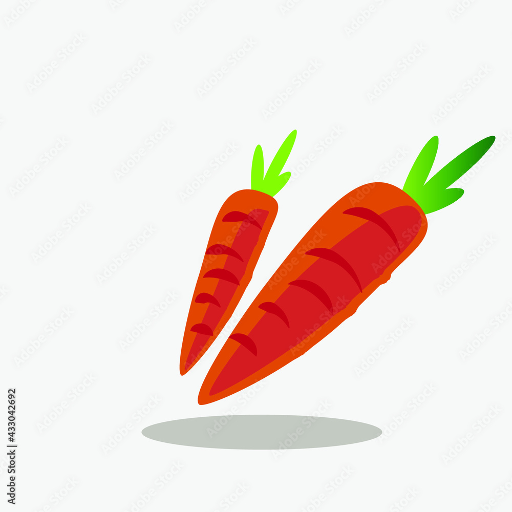 Carrot vector image Carrot vector image