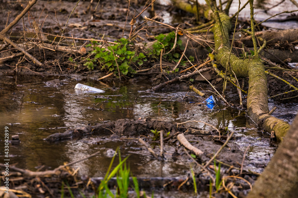 Getränkedosen in einem Bannwaldgebiet in Deutschland verschmutzen unseren Lebensraum Getränkedosen in einem Bannwaldgebiet in Deutschland verschmutzen unseren Lebensraum