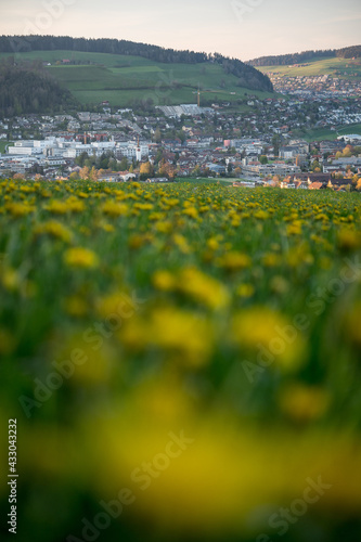 village of Konolfingen with a wildflower field in spring