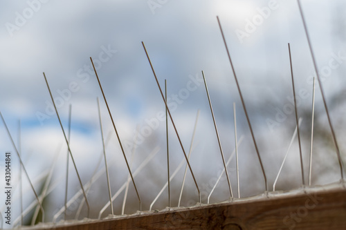 pigeon spikes, cloudy sky, 
