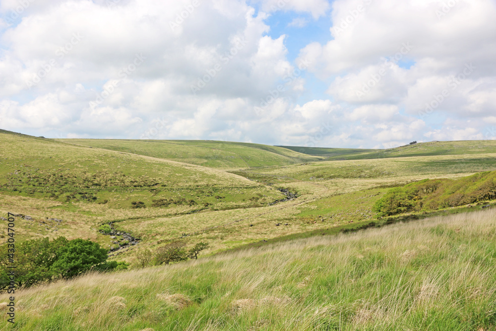 West Dart River valley in Dartmoor, Devon West Dart River valley in Dartmoor, Devon