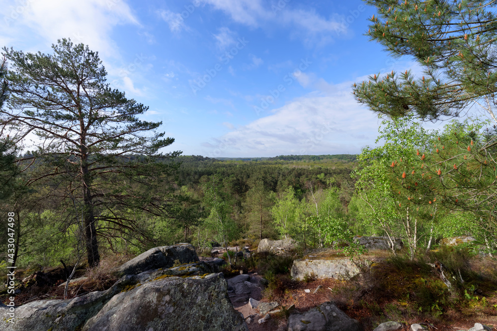 Mount Pivot view in the 25 Bumps Circuit of the Fontainebleau forest Mount Pivot view in the 25 Bumps Circuit of the Fontainebleau forest