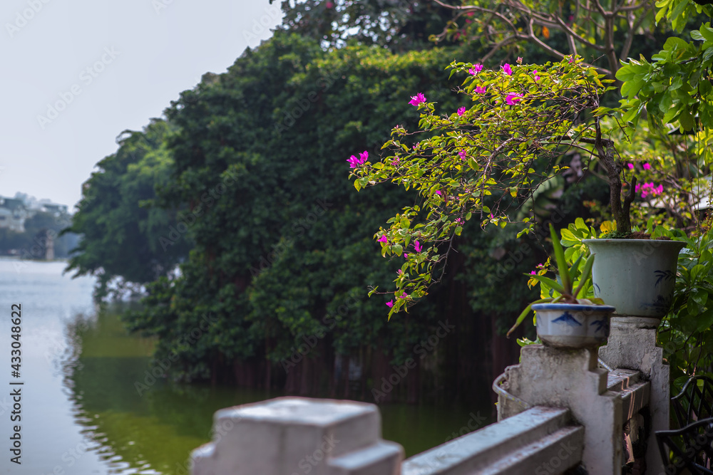 Terrace by the shores of Hoàn Kiếm Lake, Hanoi, Viet Nam: the lake is one of the major scenic spots in the city and a focal point for public life