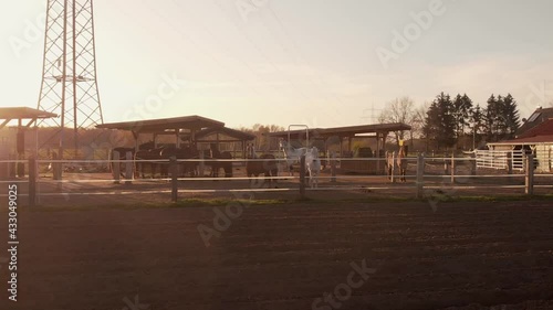 aerial orbit revolving around horses on a ranch at sunset