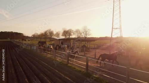 Horses running on ranch at sunset