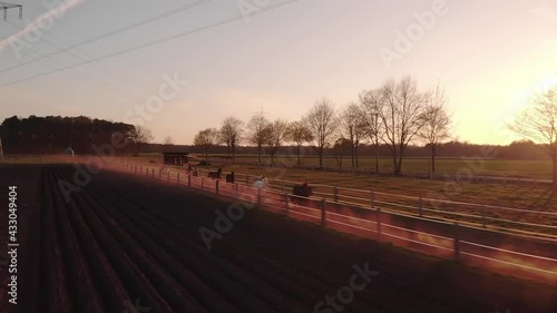 horses galloping at a ranch during sunset