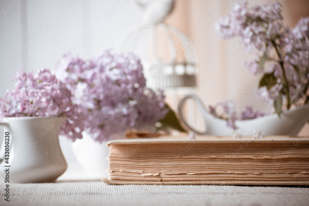 Room interior with lilacs flower in vase, old vintage fairytale book and birdcage on table, tender romantic spring home decor design in morning light, reading literature concept, soft focus.
