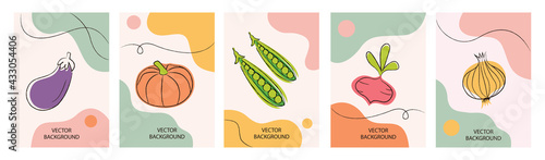 Vegetables. Set of wallpaper for social media stories, cards, flyers, posters, banners and other promotion. Vegetable design elements, logos, badges, icons and objects.