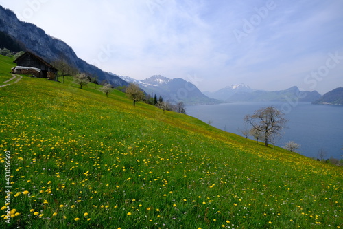 A view on the Lucern Lake, from the small swiss village of Vollingen. Seelisberg, Switzerland, the 26th April 2021.