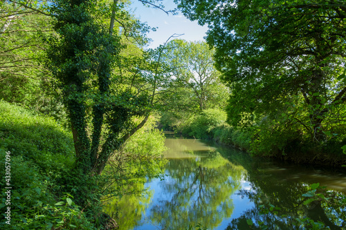 The River Mole, Near Esher, Surrey, England, UK. The tree-lined river and still water creates a tranquil scene.